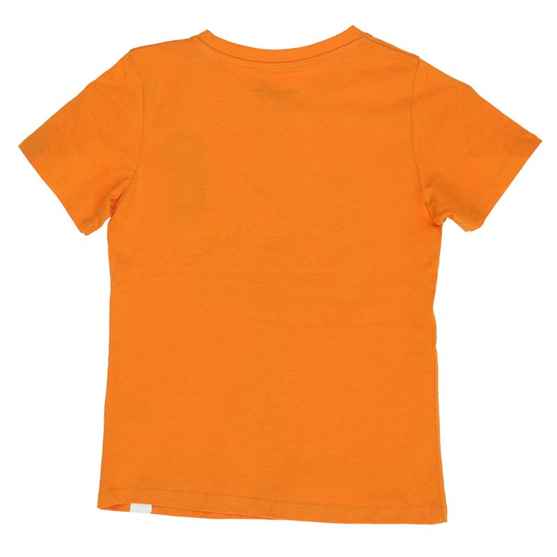 Polera-Manga-Corta-Algodon-Organico-Niño-Guitar