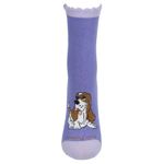 Calcetín Algodón Pack Dotydot